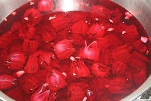 Sorrel flowers soaking to make a delicious Christmas time treat.