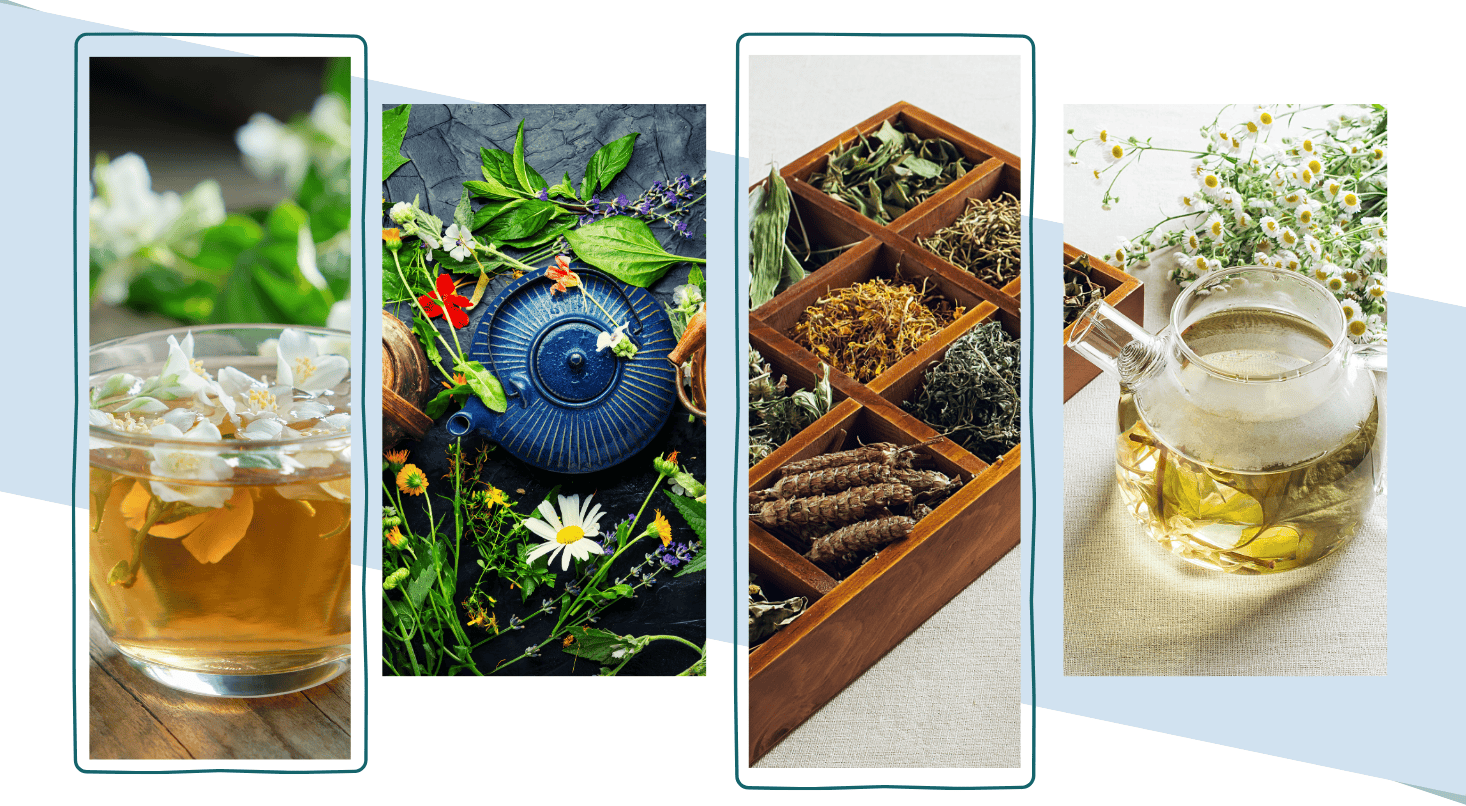 Bush Tea Circle: Discover Grenada’s Herbal Traditions - Petite Anse Hotel