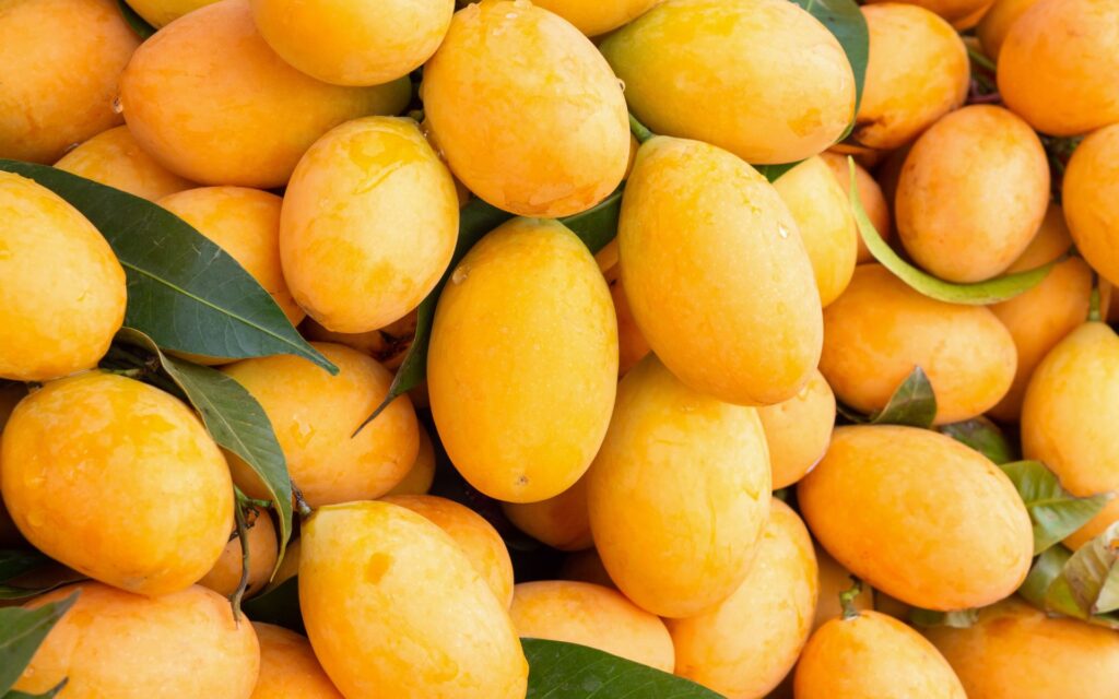 Mango season in Grenada