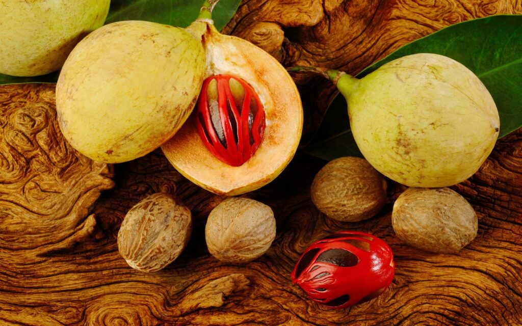 grenada nutmeg spice isle fresh nutmeg fruit close up
