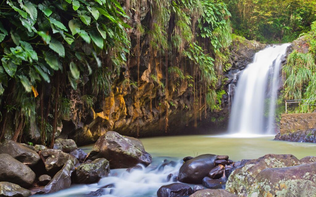 grenada waterfall tropical rainforest lush nature cascade