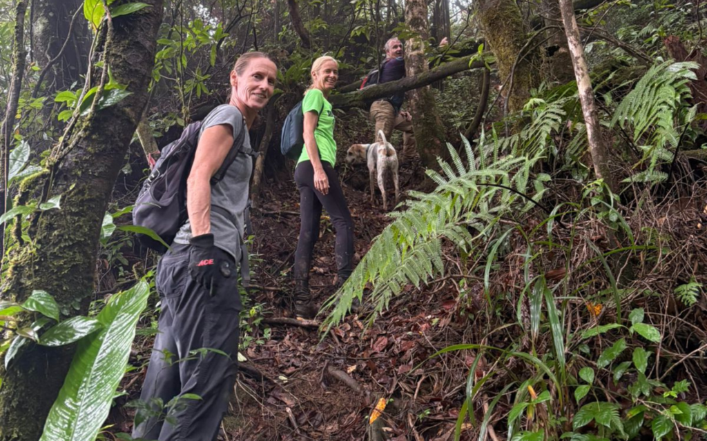 The trail passes through lush tropical rainforest, offering a completely different side of Grenada.