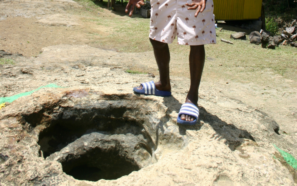 Visitors can learn about the springs and their unique natural history during the walk.