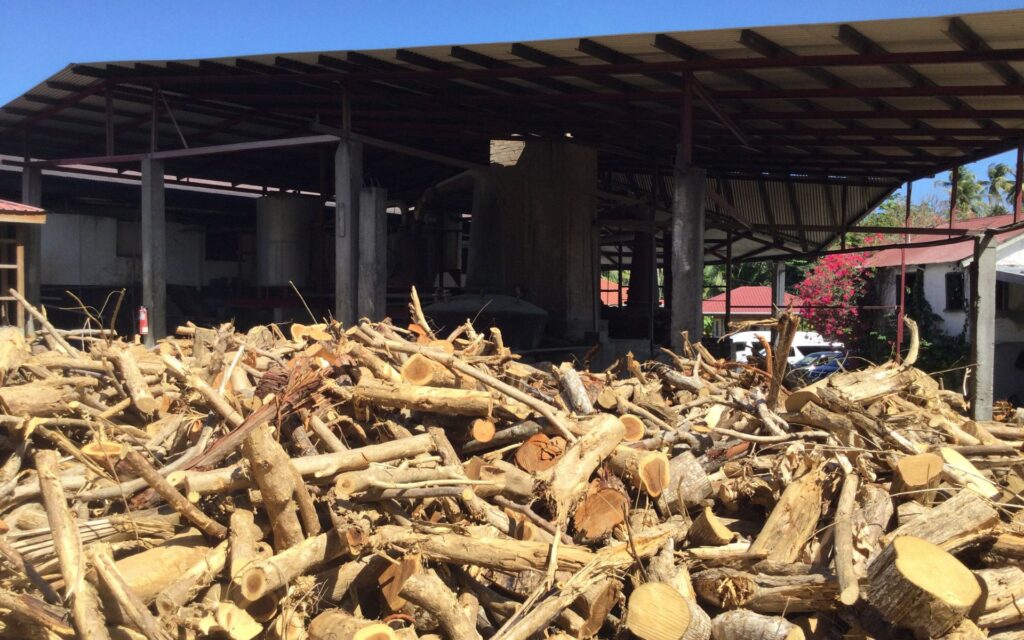Wood used to fuel traditional rum production at River Antoine