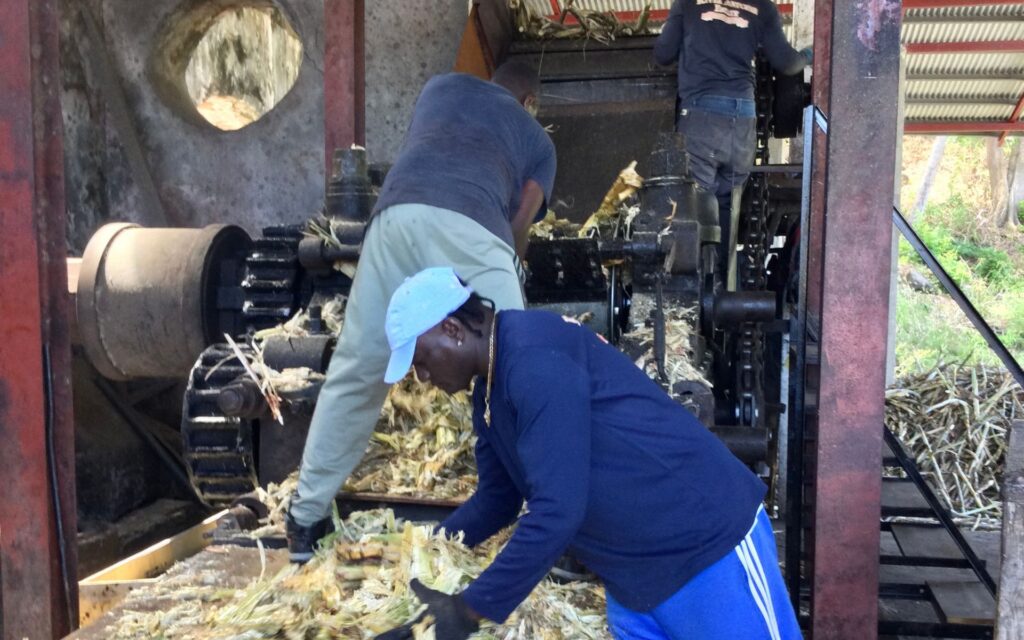 Workers feeding wood into the traditional production system at River Antoine Rum Distillery
